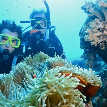 The Scuba School - Recent grads on the great barrier reef, Australia - Scuba Diving Near Me - Morrilton, Arkansas The Scuba School - Recent grads on the great barrier reef, Australia - Scuba Diving Near Me - Morrilton, Arkansas