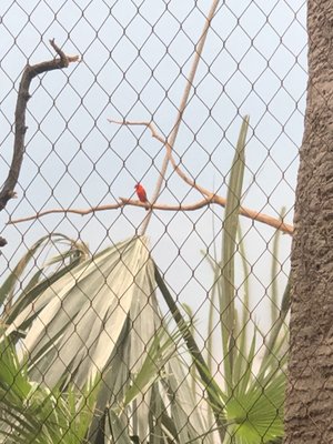 Bronx Zoo Butterfly Garden