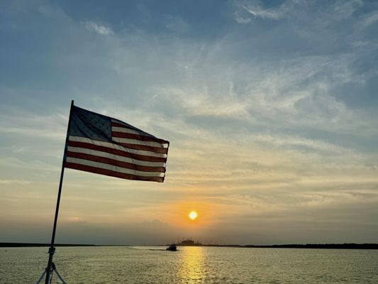 The Original Dolphin Watch by null