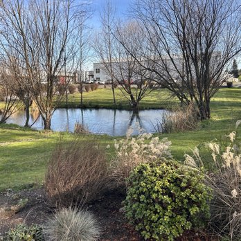Hyland Estates - Grounds in January - Beer, Wine & Spirits Near Me - Dundee, Oregon Hyland Estates - Grounds in January - Beer, Wine & Spirits Near Me - Dundee, Oregon