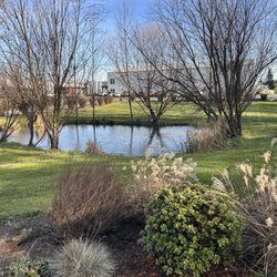 Hyland Estates - Grounds in January
