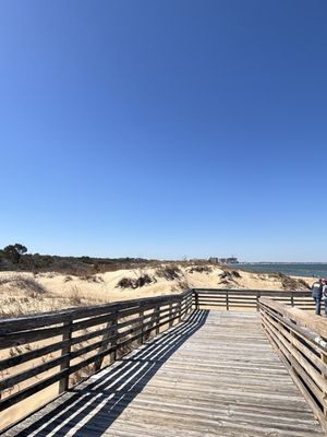 First Landing State Park by null