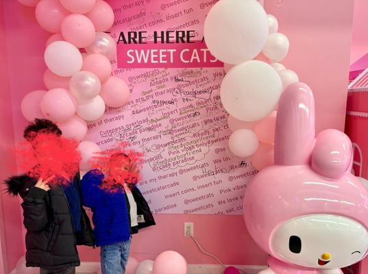 Sweet Cats Union Square by null