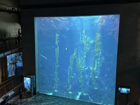 National Museum of Marine Biology & Aquarium by null