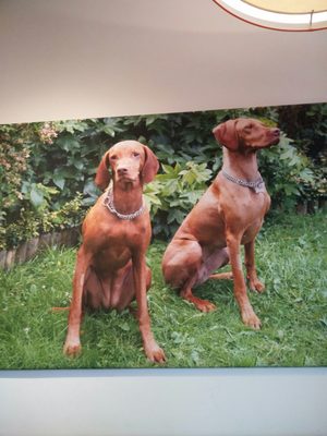 Cafe Tamra Northcote Road by null