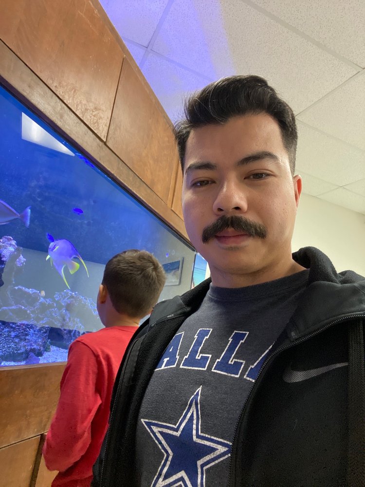 ACE PAINTLESS DENT REPAIR Updated October 2024 18 Photos & 41