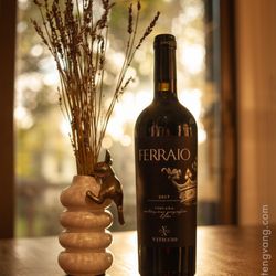 Rochester Wine Shop - Viticcio Greve !  Our last trip to Tuscany in May !