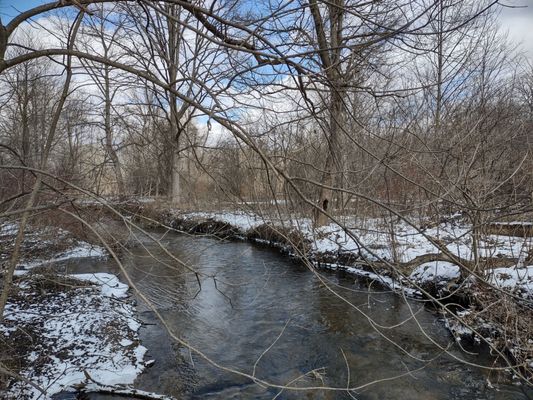 Matthaei Botanical Gardens by null