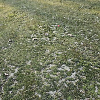 Reston National Golf Course - This was a fairway.... - Golf Near Me - Reston, Virginia Reston National Golf Course - This was a fairway.... - Golf Near Me - Reston, Virginia