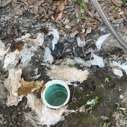 Rt Septic