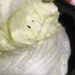 Golden Lor Chinese Restaurant - Big on our lettuce xx delicious