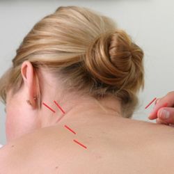 Rehab Guru Physical Therapy