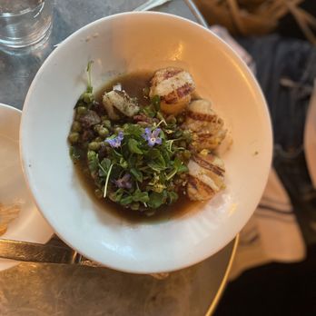 Vinatería - Scallops - Italian Near Me - New York, New York Vinatería - Scallops - Italian Near Me - New York, New York