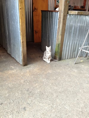 6th & Vine Restaurant and Wine Bar by null