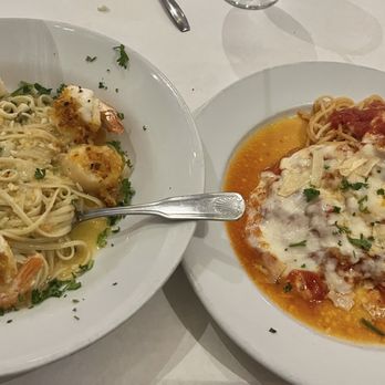 Rocca Trattoria Italian Restaurant - Scallops and Shrimp pasta Grilled chicken parmesan - Italian Near Me - Lighthouse Point, Florida Rocca Trattoria Italian Restaurant - Scallops and Shrimp pasta Grilled chicken parmesan - Italian Near Me - Lighthouse Point, Florida