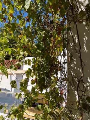 Santa Monica Mountains National Recreation Area by null