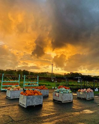 Topaz Farm by null