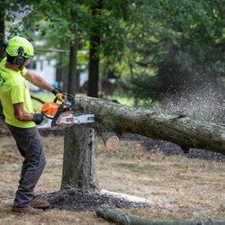 Swift Tree Service