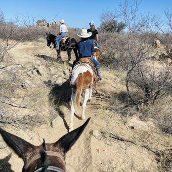 Tombstone Equine Company - Horseback Riding Near Me - Tombstone, Arizona Tombstone Equine Company - Horseback Riding Near Me - Tombstone, Arizona