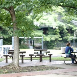 Elm Street Urban Park