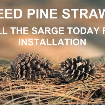 Yard Sarge - Pinestraw installs - Landscaping Near Me Yard Sarge - Pinestraw installs - Landscaping Near Me