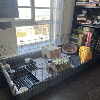 Pet Central - Pet Stores Near Me - San Francisco, California Pet Central - Pet Stores Near Me - San Francisco, California