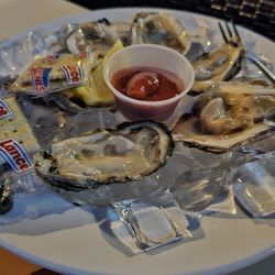 Hooters - Oysters