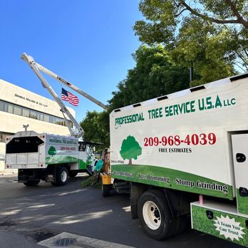 Professional Tree Service USA - Tree Services Near Me Professional Tree Service USA - Tree Services Near Me