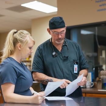 Hannah Pet Hospital - Pet Training Near Me - Tigard, Oregon Hannah Pet Hospital - Pet Training Near Me - Tigard, Oregon