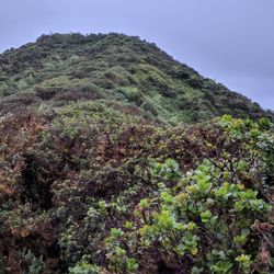 Bowman Trail - Different views on the way