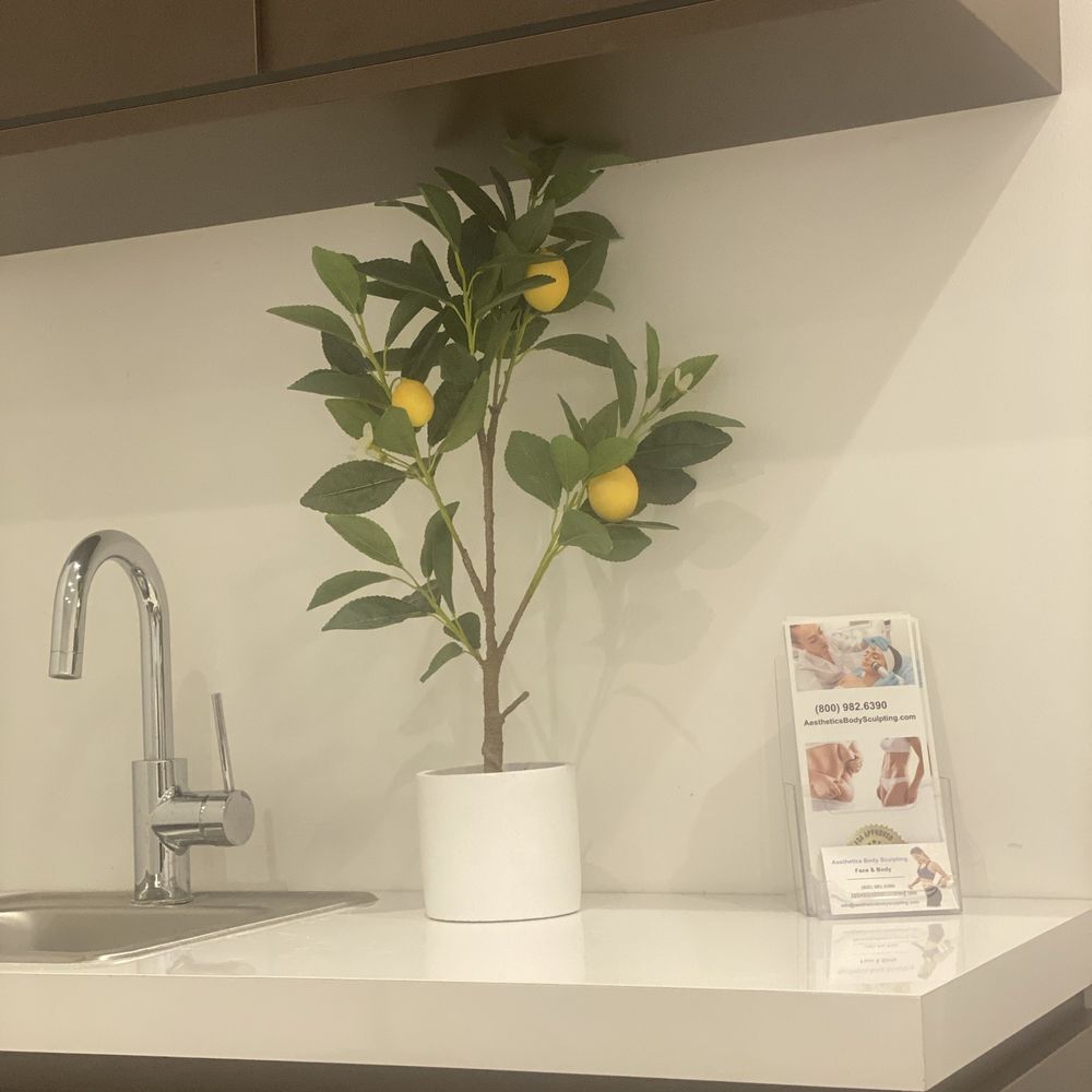 Aesthetics Body Sculpting - Clean and lovely office, with nice relaxing music playing. - Body Contouring Near Me - Pasadena, California Aesthetics Body Sculpting - Clean and lovely office, with nice relaxing music playing. - Body Contouring Near Me - Pasadena, California
