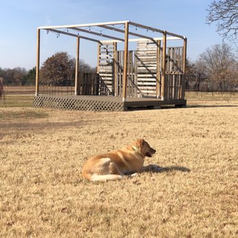 Native Spirits Winery - a dog laying in a field - Wineries Near Me - Norman, Oklahoma Native Spirits Winery - a dog laying in a field - Wineries Near Me - Norman, Oklahoma