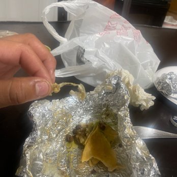 El Taconazo - Not cool, found this in my quesadilla. It's tortilla pack wire thing. This place has gone to shit. - Tacos Near Me - Houston, Texas El Taconazo - Not cool, found this in my quesadilla. It's tortilla pack wire thing. This place has gone to shit. - Tacos Near Me - Houston, Texas