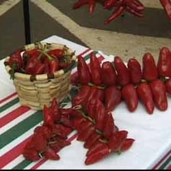 Accoceberry