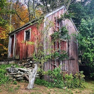 New Salem Cider by null