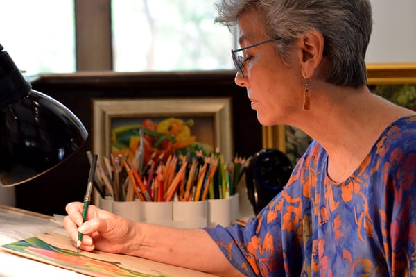 Sedona Arts Center by null