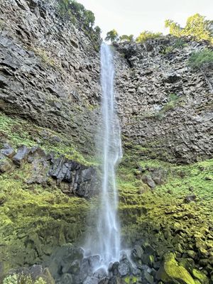 Watson Falls by null