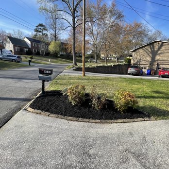 Tree Hero - Mulching, weed inhibitor applied, pruning - Tree Services Near Me - Knoxville, Tennessee