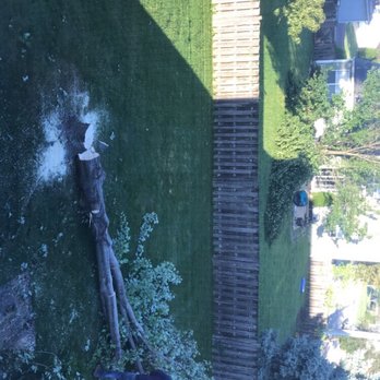 Castro's Tree Service - Tree Services Near Me - Elgin, Illinois Castro's Tree Service - Tree Services Near Me - Elgin, Illinois