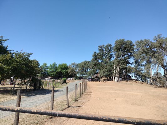 HEALING PASTURES @ C HORSE RANCH - Updated January 2025 - 11685