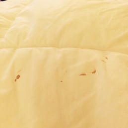 Walk into my room with blood stained sheets....gross!!