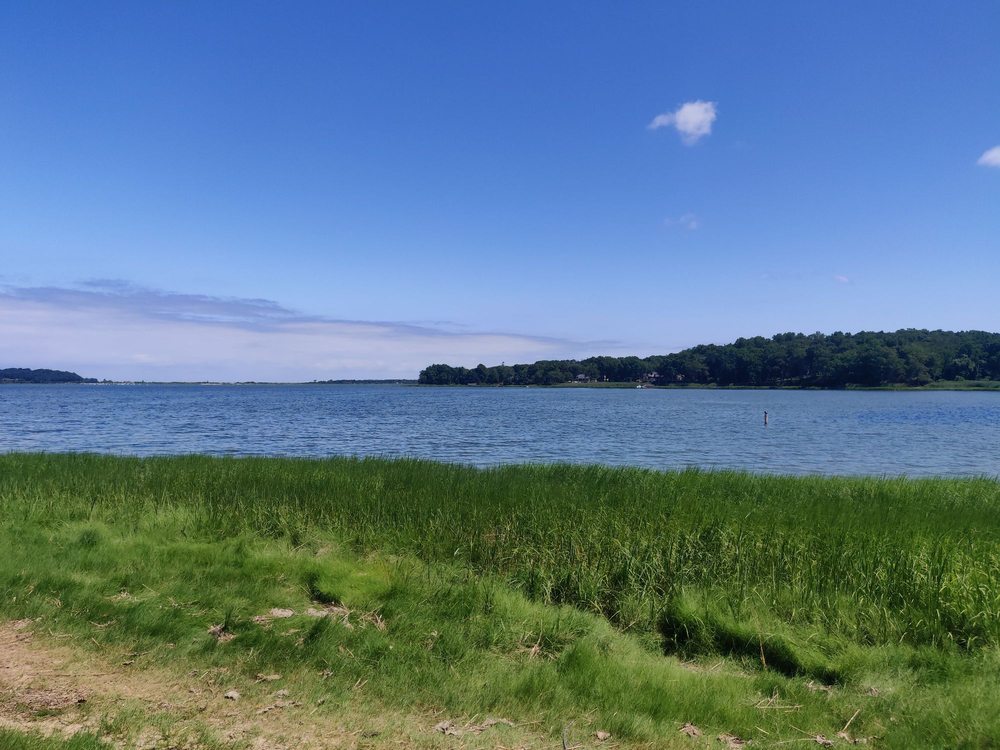 CORDWOOD PARK 28 Photos Harbor Rd, Head of the Harbor, New York Parks Yelp