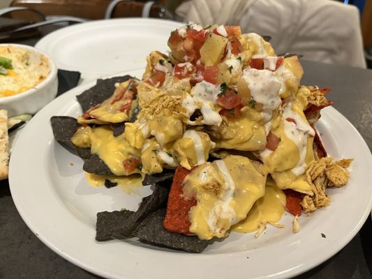 Paradocx Vineyard by null