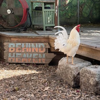 Blue Heaven - Breakfast & Brunch Near Me - Key West, Florida Blue Heaven - Breakfast & Brunch Near Me - Key West, Florida