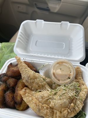 The Reizod Vegan Experience by null