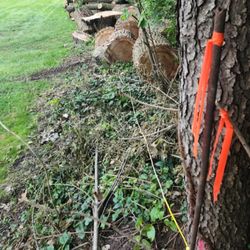M H Tree Service
