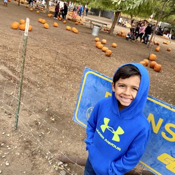 Peltzer Pumpkin Farm - Pumpkin Patches Near Me - Temecula, California