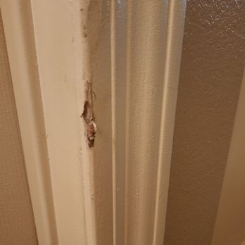 ASAP Plumbing - Interior wall damage - Plumbing Near Me - Tempe, Arizona