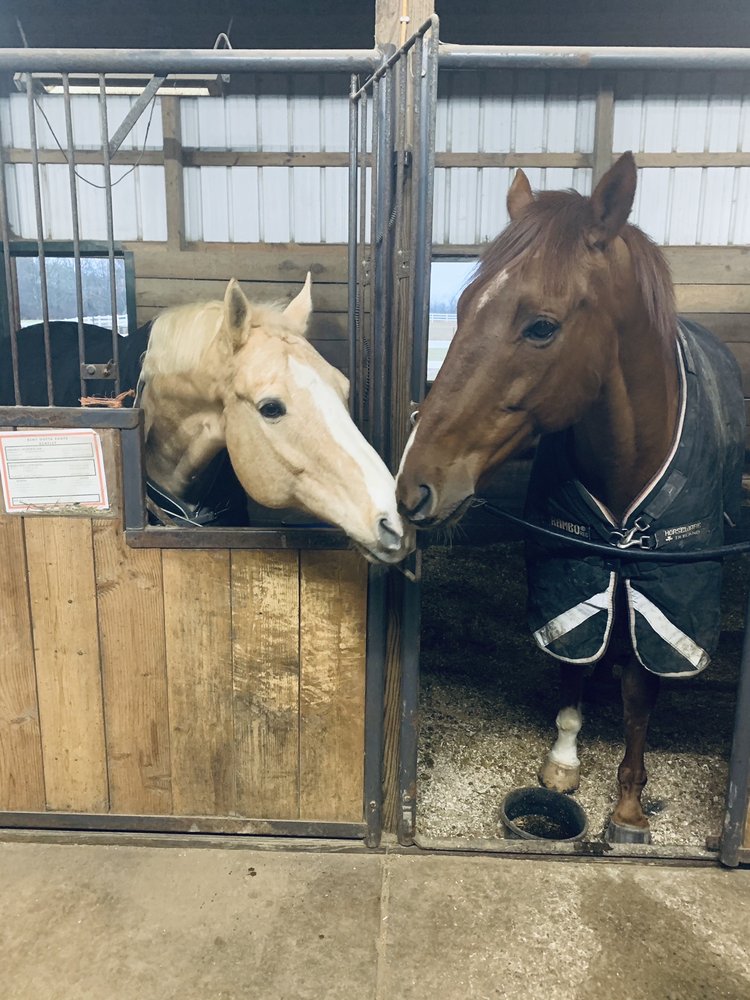 INDIAN RUN STABLE Updated August 2024 8305 Columbiana Canfield Rd