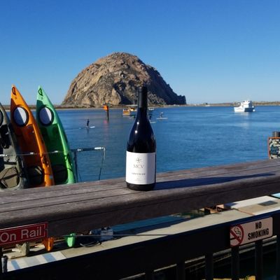 MCV Wines by null